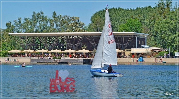  KI im Allerpark
