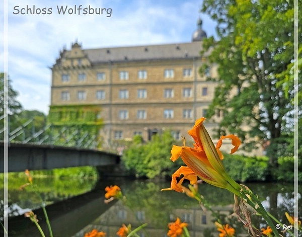 Blumenriegen in der Stadt Wolfsburg