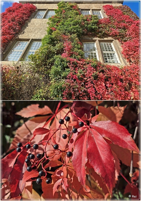 Schloss Park Wolfsburg